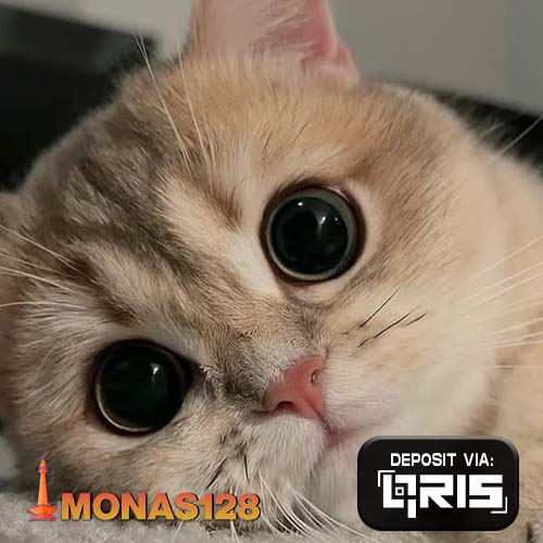 MONAS128 LINK SITUS UTAMA SLOT TOTO 5D